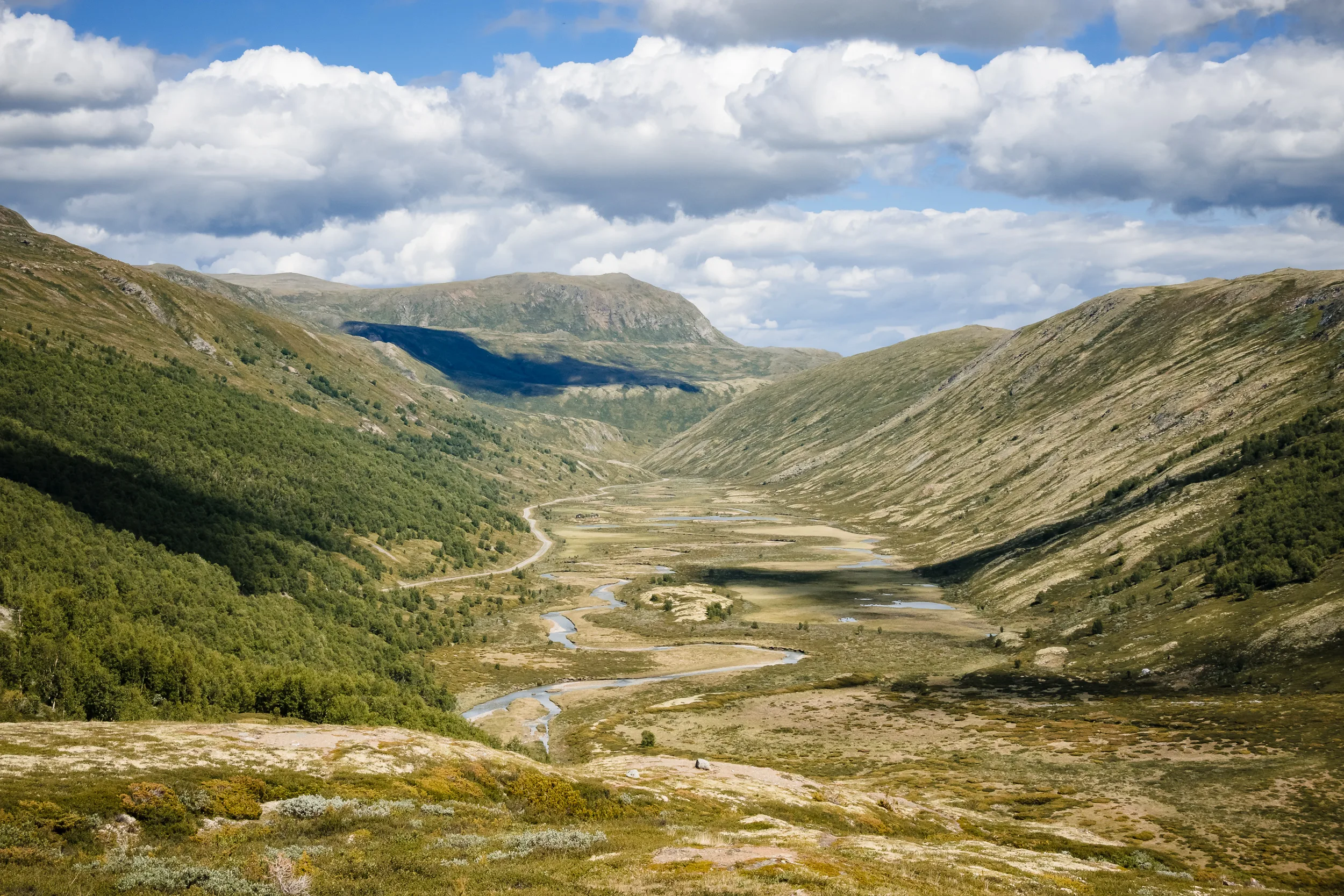 Aussicht für eine lange Abfahrt aus dem Tal heraus. Der Bach mäandert dem Weg entlang.